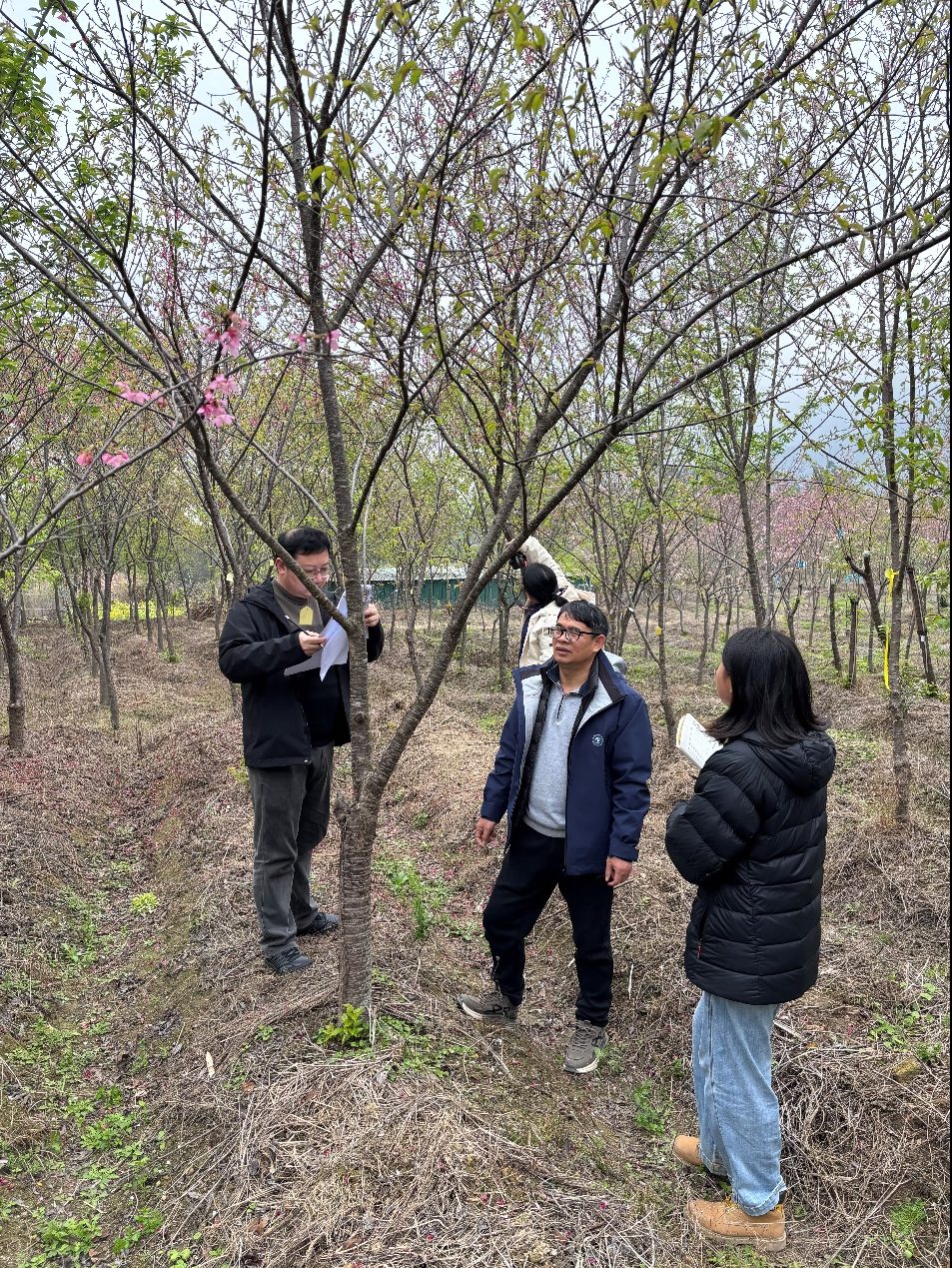 AG旗舰厅(中国游)官方网站