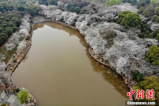 AG旗舰厅(中国游)官方网站