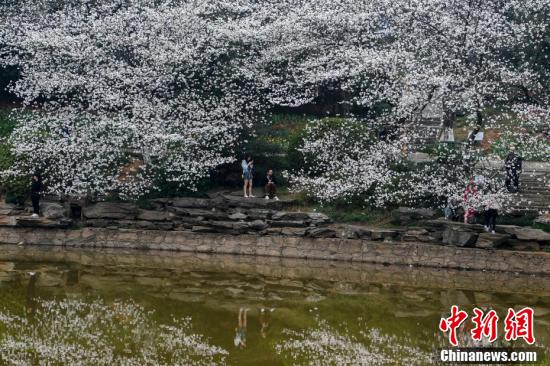 AG旗舰厅(中国游)官方网站