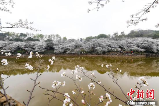 AG旗舰厅(中国游)官方网站