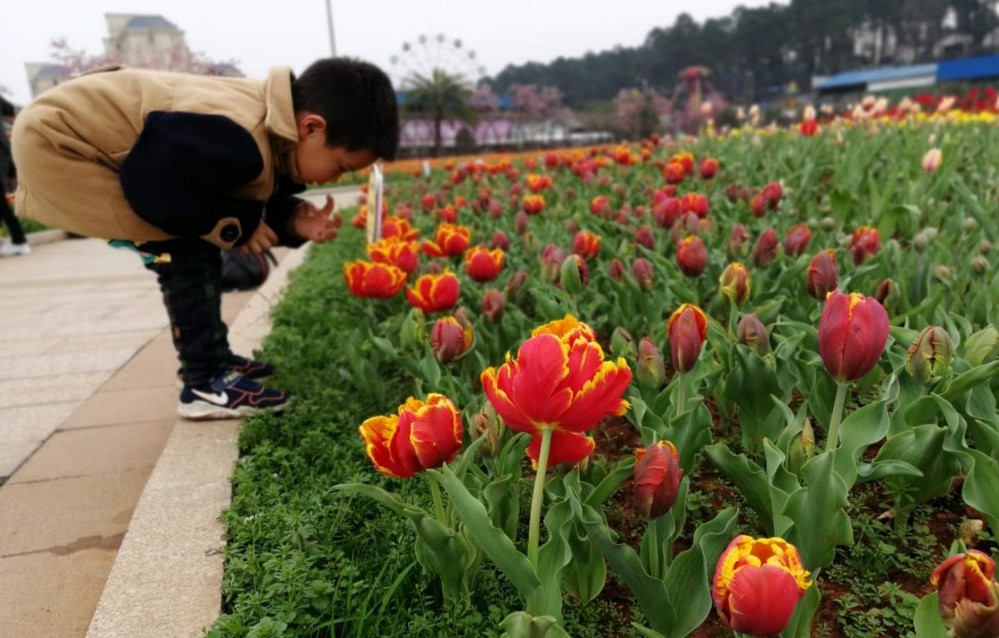 AG旗舰厅(中国游)官方网站