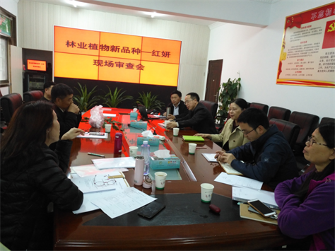 AG旗舰厅(中国游)官方网站