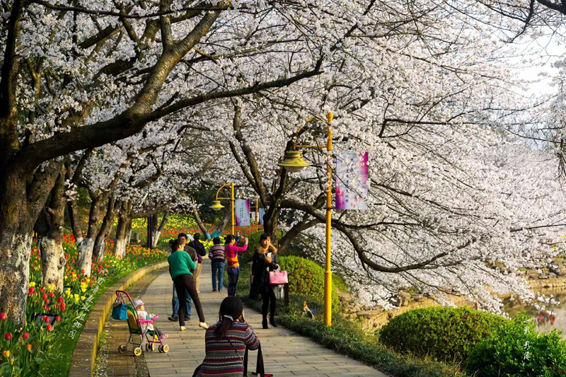 AG旗舰厅(中国游)官方网站