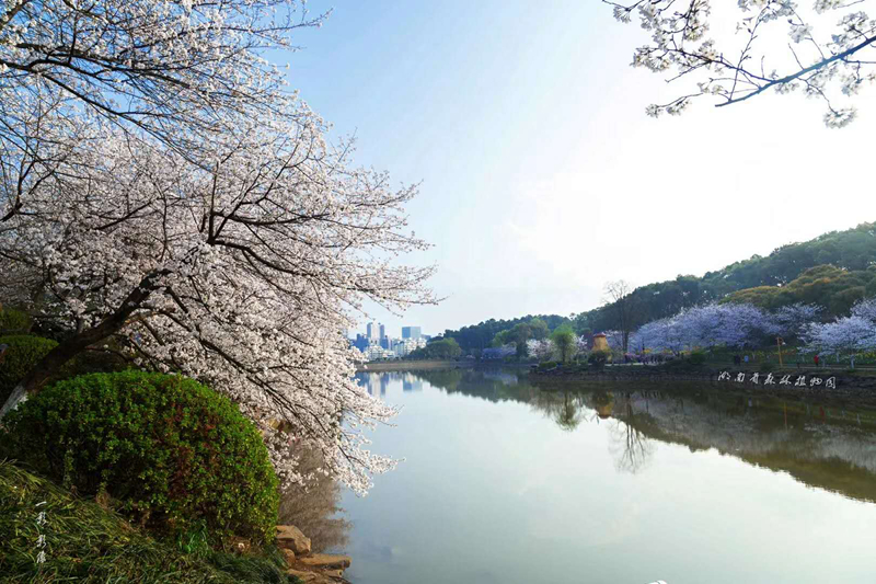 AG旗舰厅(中国游)官方网站