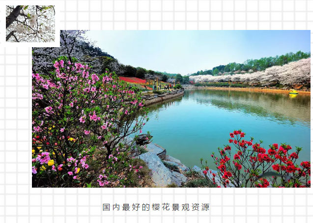 AG旗舰厅(中国游)官方网站
