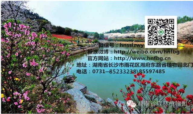 AG旗舰厅(中国游)官方网站