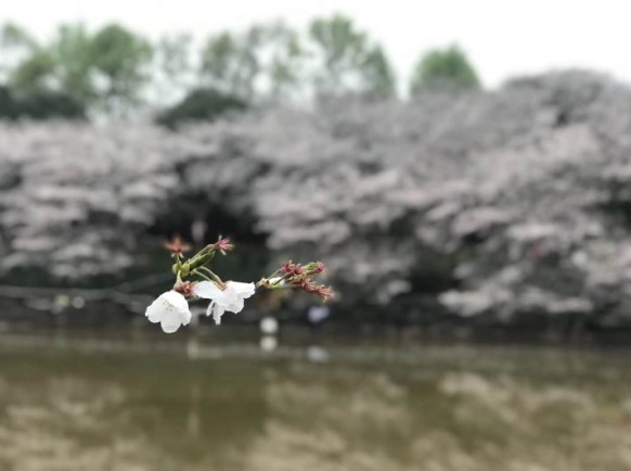 AG旗舰厅(中国游)官方网站