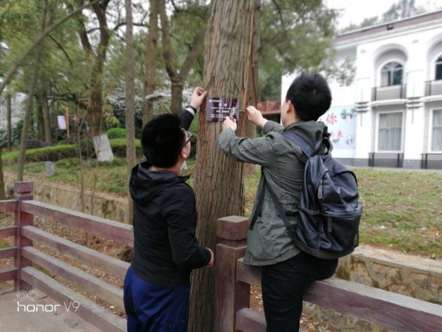 AG旗舰厅(中国游)官方网站