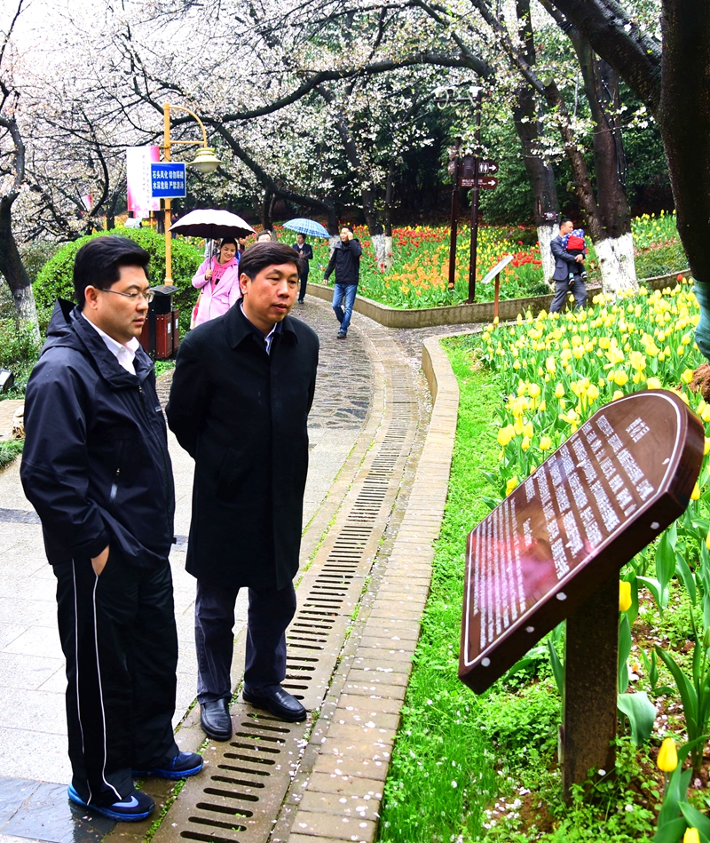 AG旗舰厅(中国游)官方网站