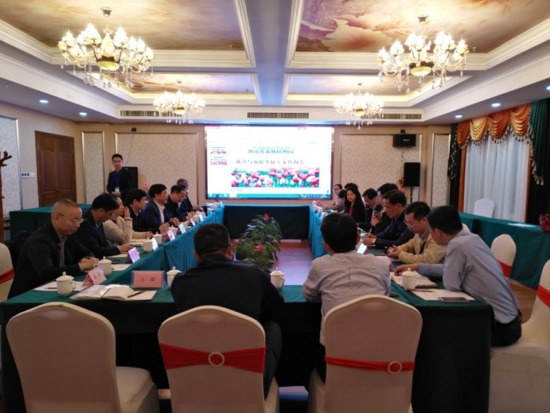AG旗舰厅(中国游)官方网站