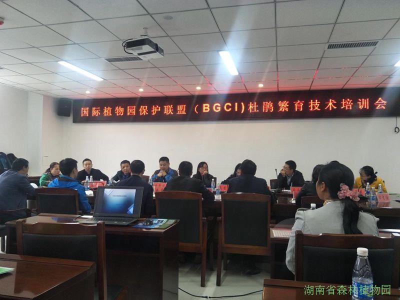 AG旗舰厅(中国游)官方网站