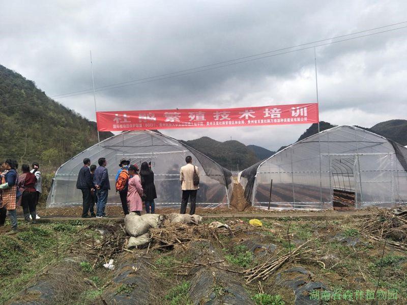AG旗舰厅(中国游)官方网站