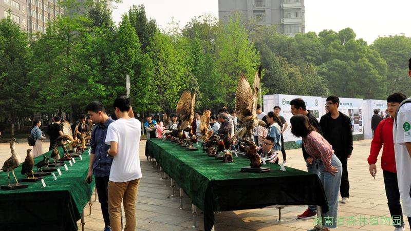 AG旗舰厅(中国游)官方网站