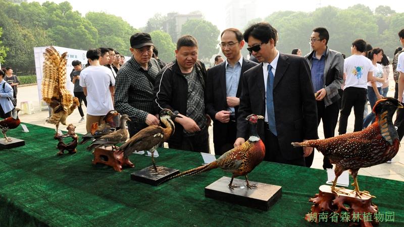 AG旗舰厅(中国游)官方网站