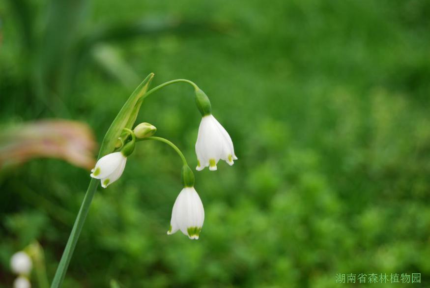 AG旗舰厅(中国游)官方网站