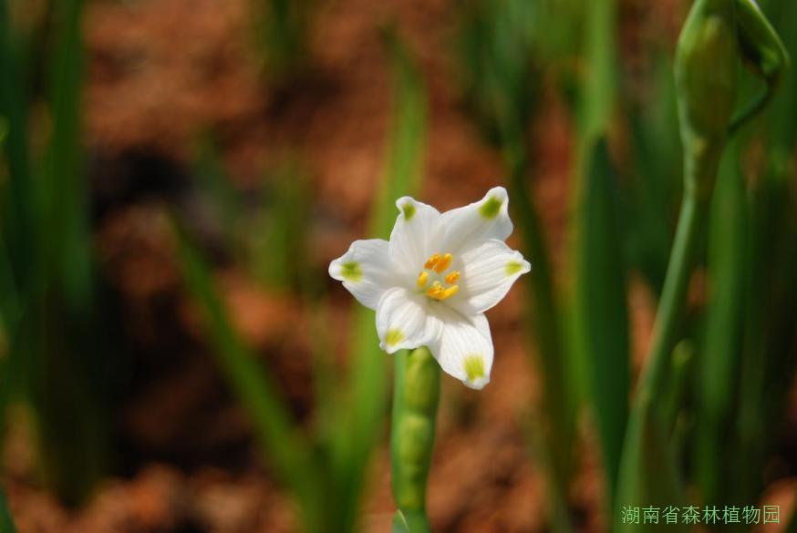 AG旗舰厅(中国游)官方网站