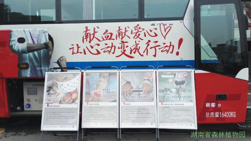 AG旗舰厅(中国游)官方网站