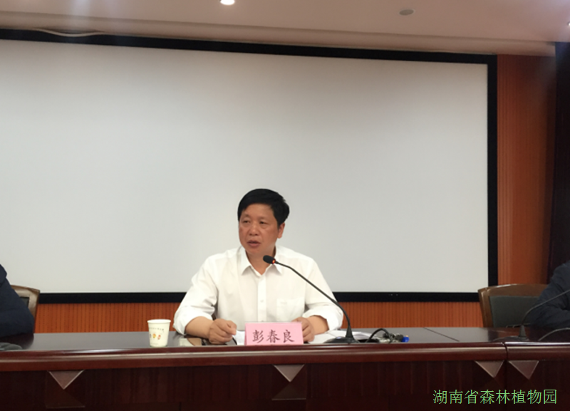 AG旗舰厅(中国游)官方网站
