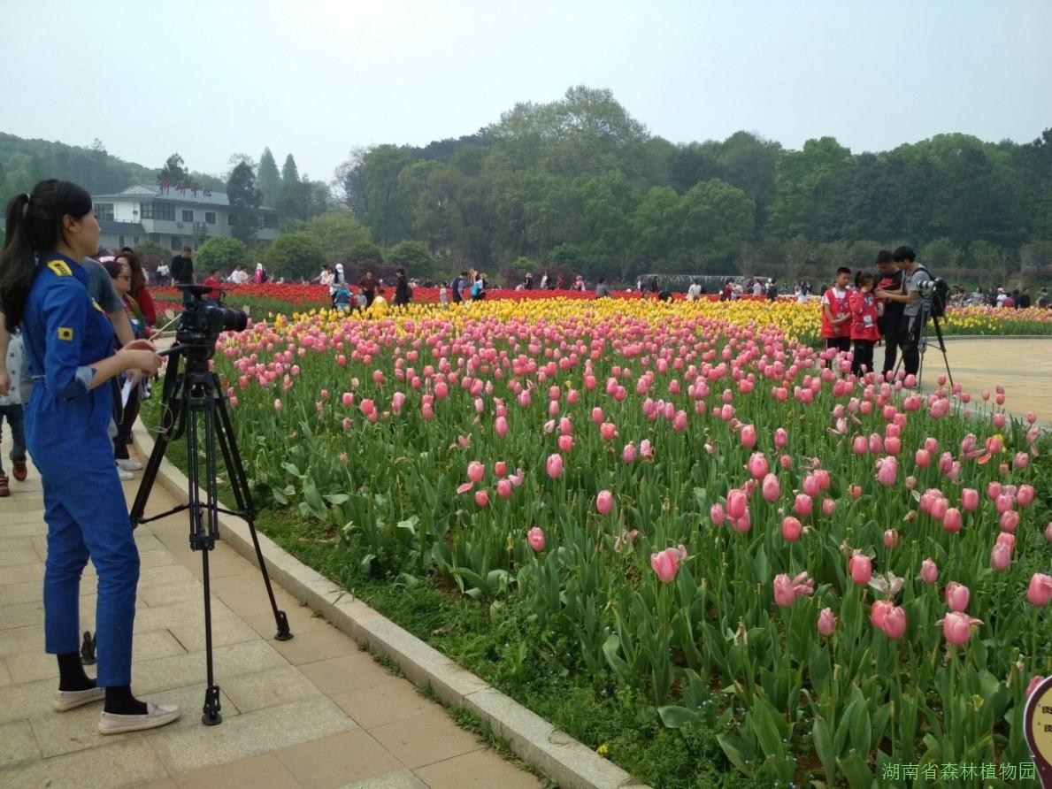AG旗舰厅(中国游)官方网站