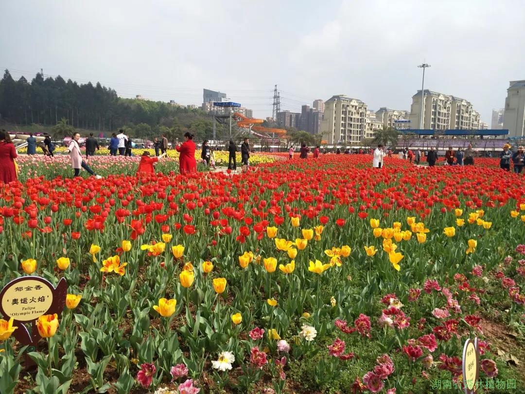 AG旗舰厅(中国游)官方网站