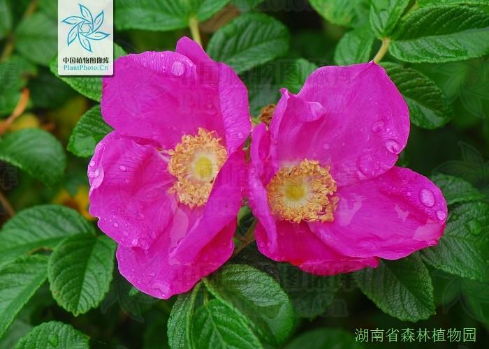 AG旗舰厅(中国游)官方网站