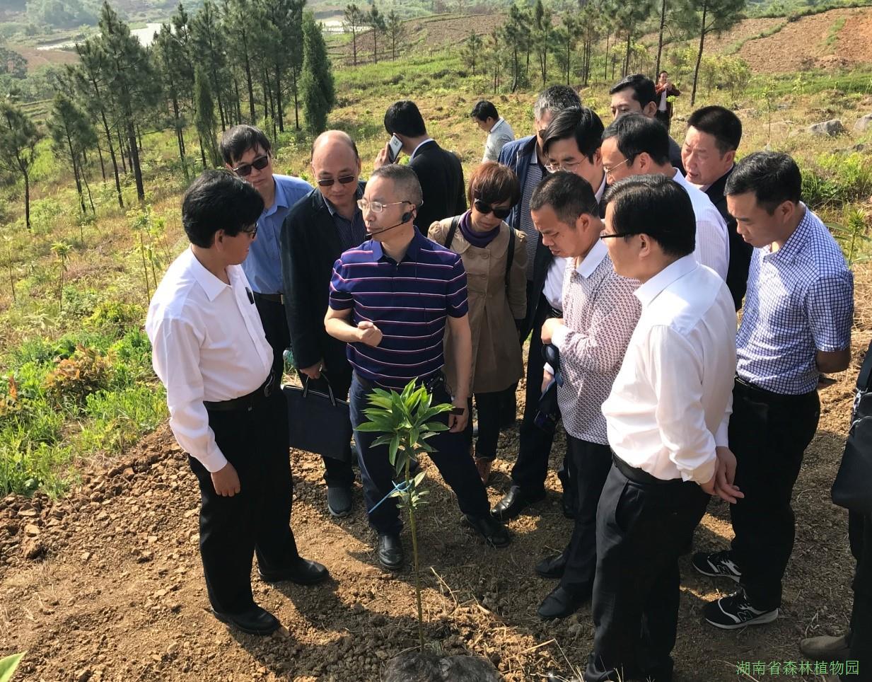 AG旗舰厅(中国游)官方网站