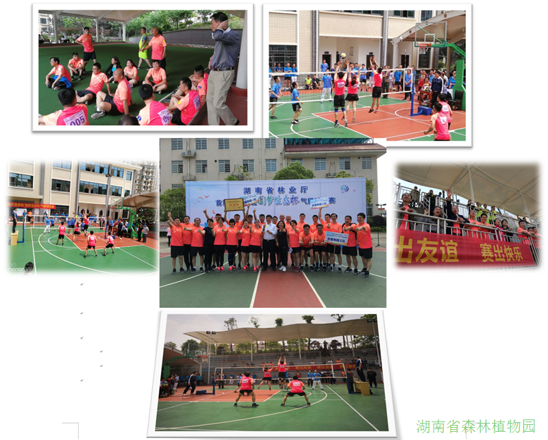 AG旗舰厅(中国游)官方网站