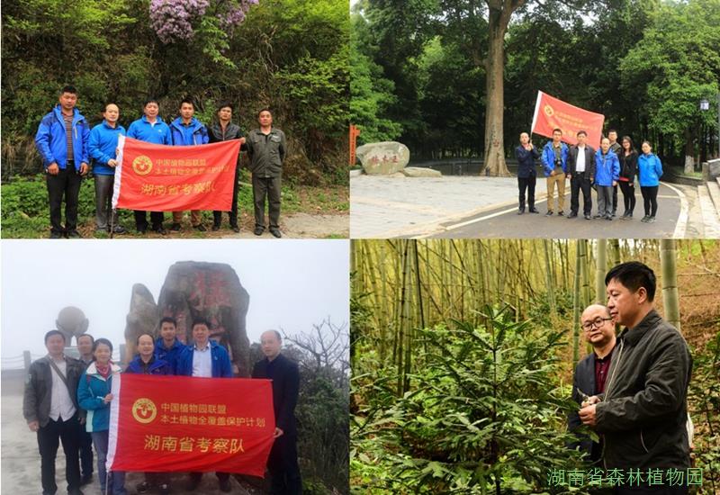 AG旗舰厅(中国游)官方网站