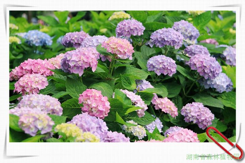 AG旗舰厅(中国游)官方网站