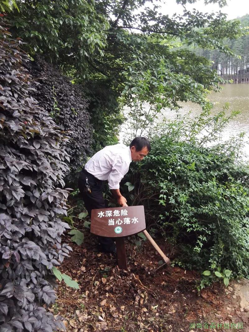 AG旗舰厅(中国游)官方网站