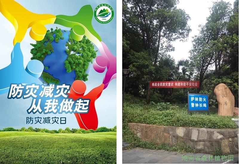 AG旗舰厅(中国游)官方网站