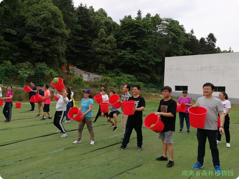 AG旗舰厅(中国游)官方网站
