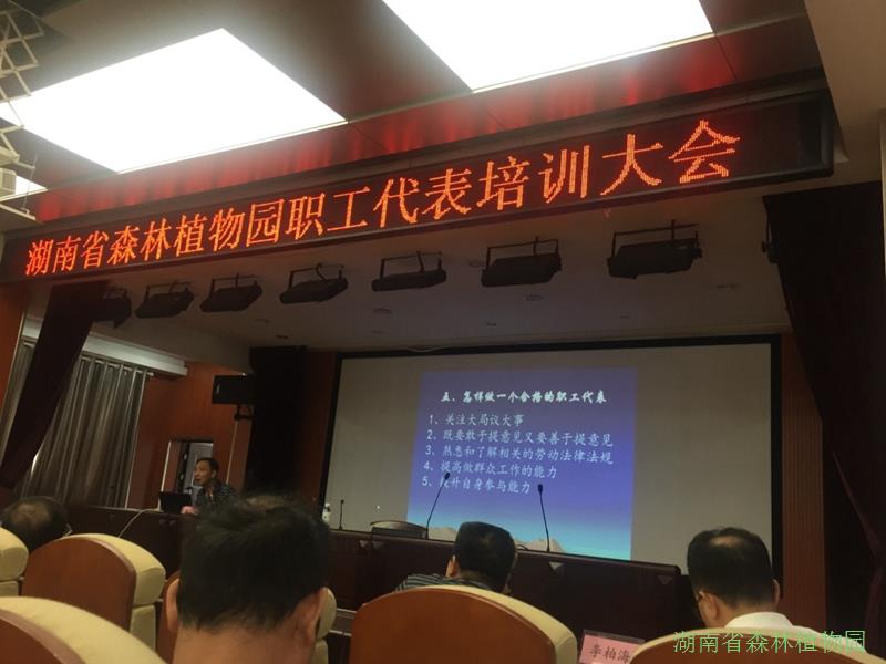 AG旗舰厅(中国游)官方网站