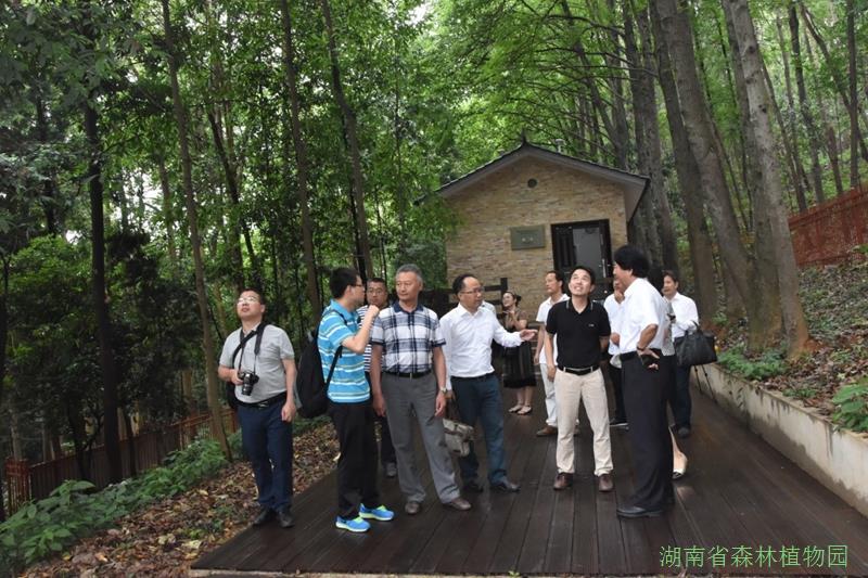 AG旗舰厅(中国游)官方网站