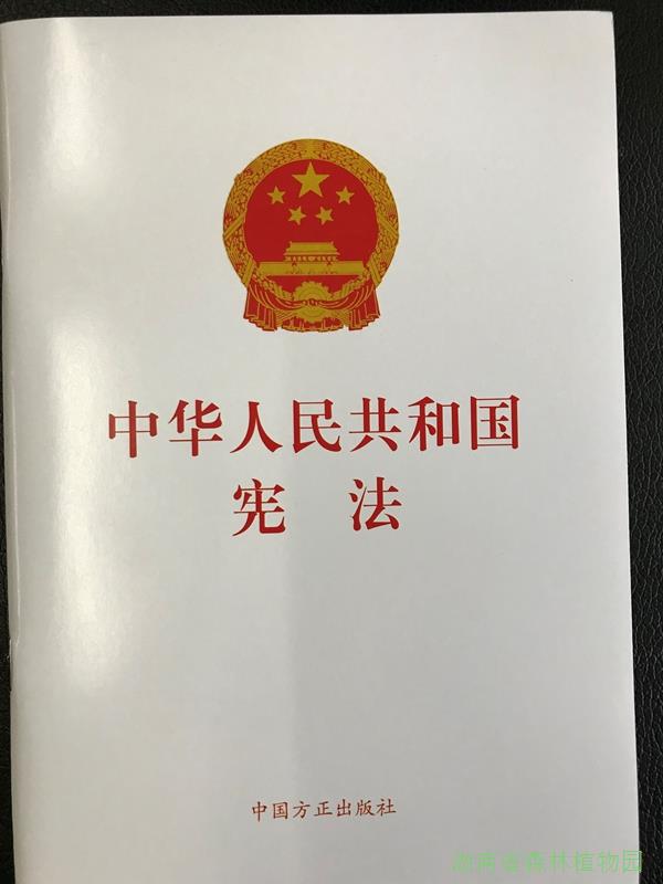 AG旗舰厅(中国游)官方网站