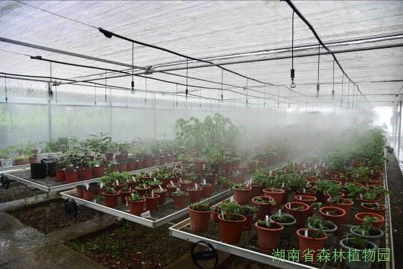AG旗舰厅(中国游)官方网站