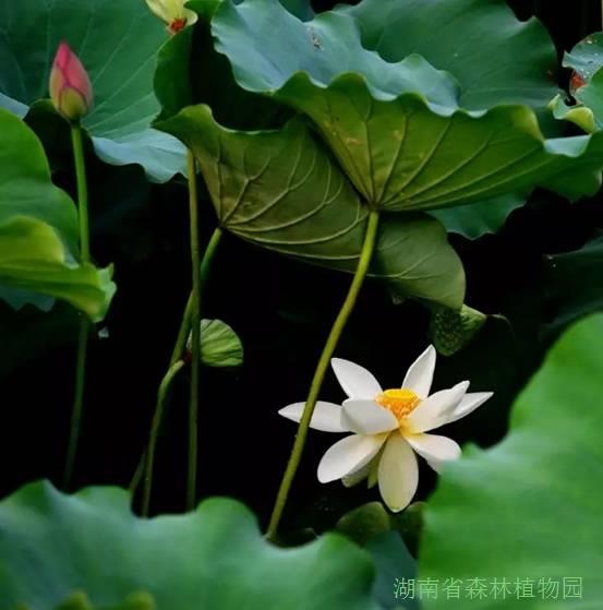 AG旗舰厅(中国游)官方网站