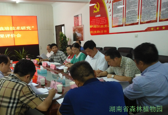 AG旗舰厅(中国游)官方网站