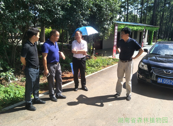AG旗舰厅(中国游)官方网站