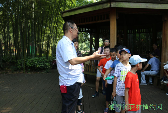 AG旗舰厅(中国游)官方网站