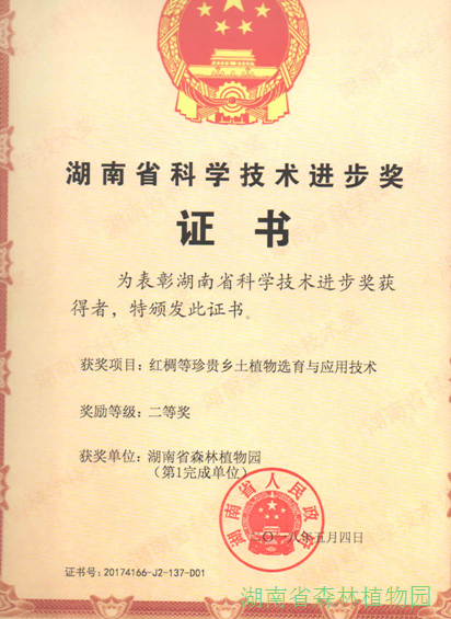 AG旗舰厅(中国游)官方网站