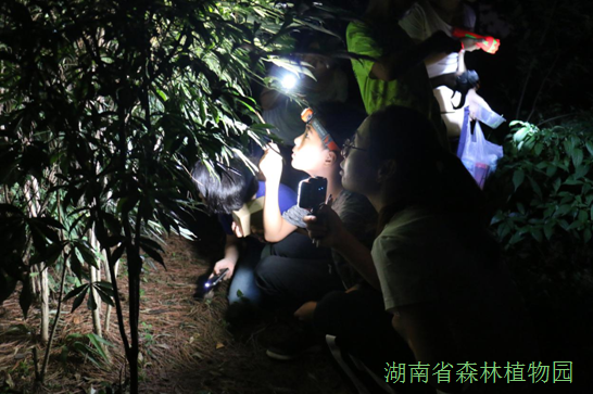 AG旗舰厅(中国游)官方网站