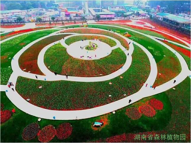AG旗舰厅(中国游)官方网站