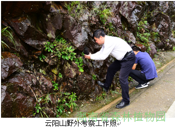 AG旗舰厅(中国游)官方网站