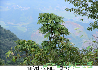 AG旗舰厅(中国游)官方网站
