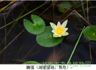 AG旗舰厅(中国游)官方网站