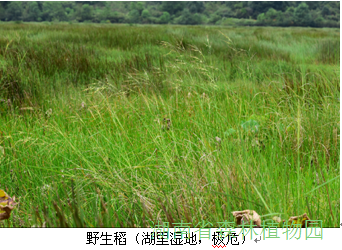 AG旗舰厅(中国游)官方网站