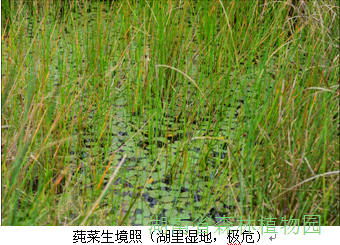 AG旗舰厅(中国游)官方网站