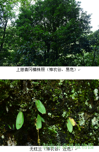 AG旗舰厅(中国游)官方网站