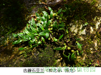 AG旗舰厅(中国游)官方网站
